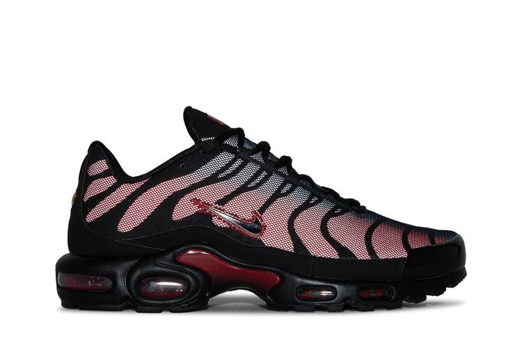 Nike Air Max Plus Bred Reflective - DZ4507-600