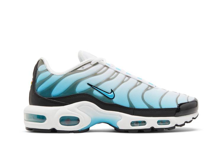 Nike Air Max Plus Baltic Blue - FD9751-100