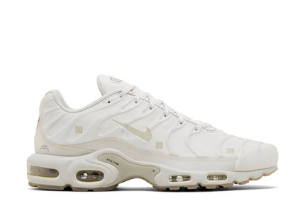 Nike Air Max Plus A-COLD-WALL Platinum Tint - FD7855-002