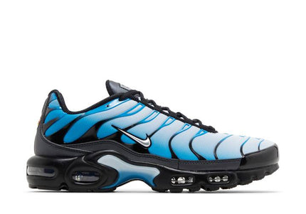 Nike Air Max Plus Blue Gradient - FQ0204-010