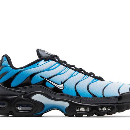 Nike Air Max Plus Blue Gradient - FQ0204-010