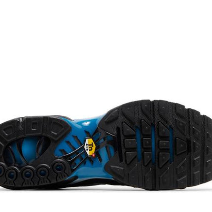 Nike Air Max Plus Blue Gradient - FQ0204-010