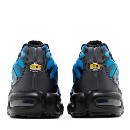 Nike Air Max Plus Blue Gradient - FQ0204-010