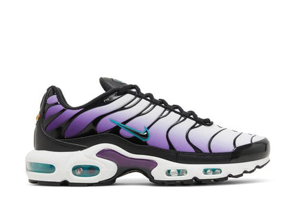 Nike Air Max Plus Reverse Grape - FQ2415-500