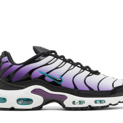 Nike Air Max Plus Reverse Grape - FQ2415-500