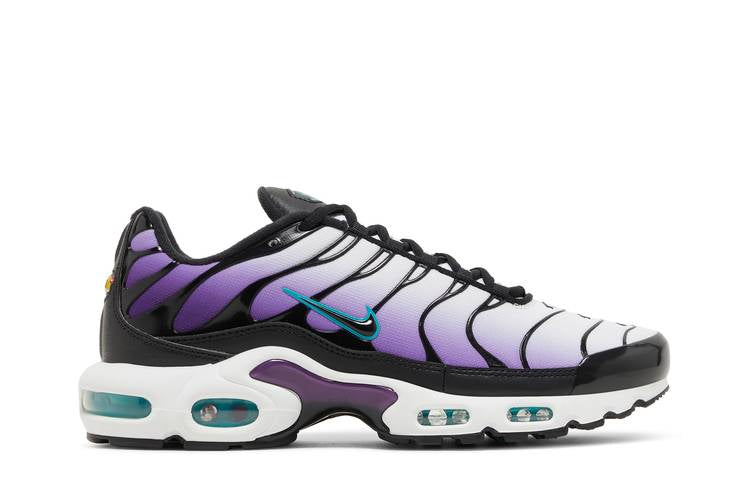 Nike Air Max Plus Reverse Grape - FQ2415-500