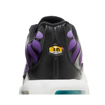 Nike Air Max Plus Reverse Grape - FQ2415-500