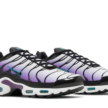 Nike Air Max Plus Reverse Grape - FQ2415-500