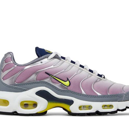 Nike Air Max Plus Violet Dust - FN8007-500