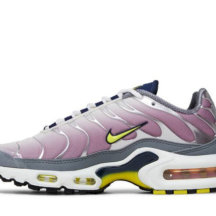 Nike Air Max Plus Violet Dust - FN8007-500