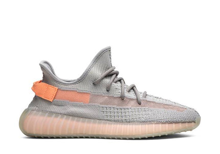 Adidas Yeezy Boost 350 V2 True Form - EG7492