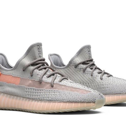 Adidas Yeezy Boost 350 V2 True Form - EG7492