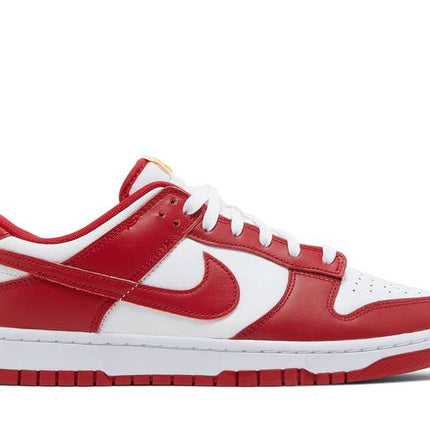 Nike Dunk Low USC - DD1391-602