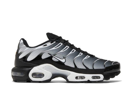 Nike Air Max Plus Black Silver White - DM0032-003