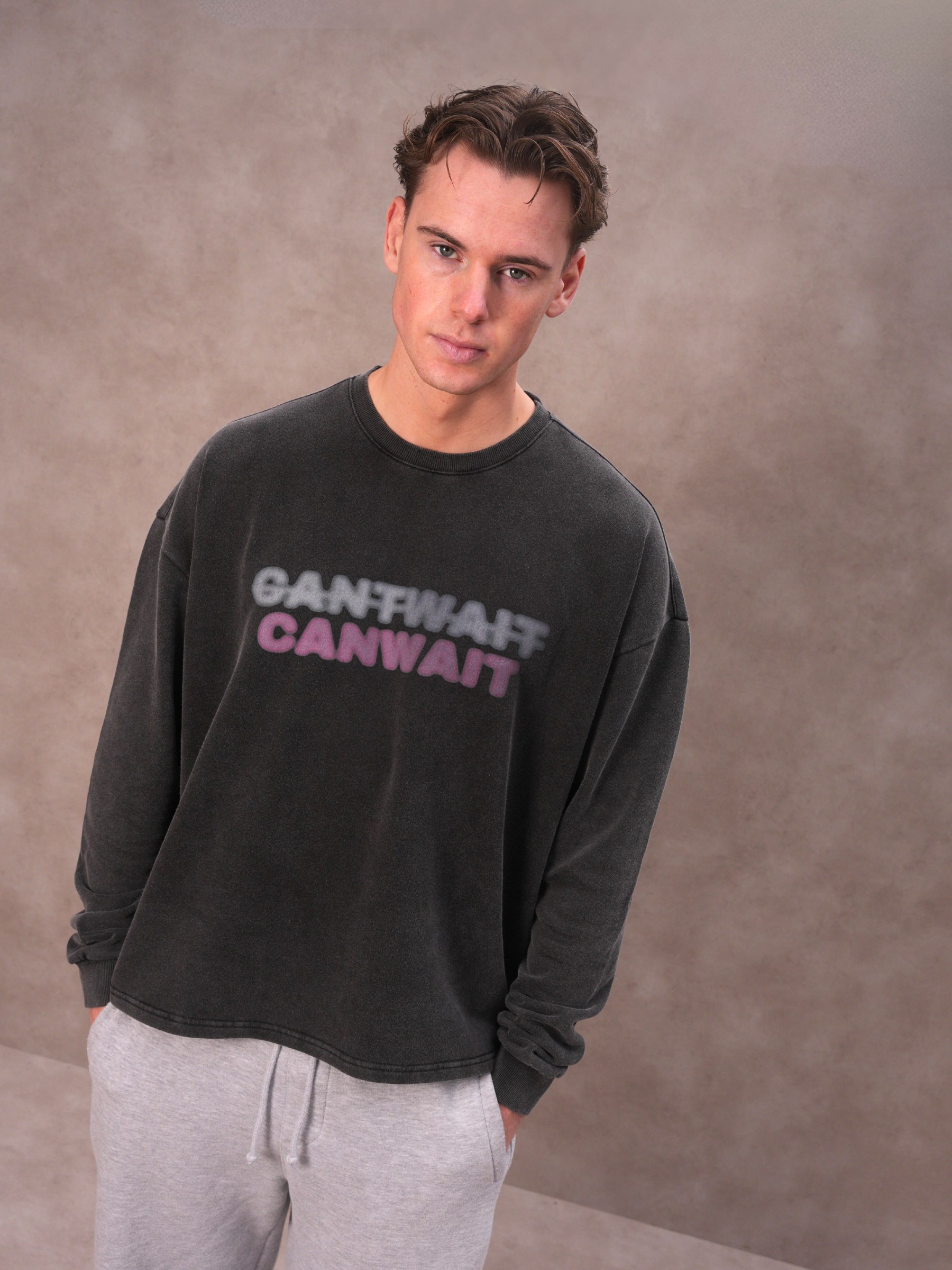 The Washed Wait Longsleeve Pink