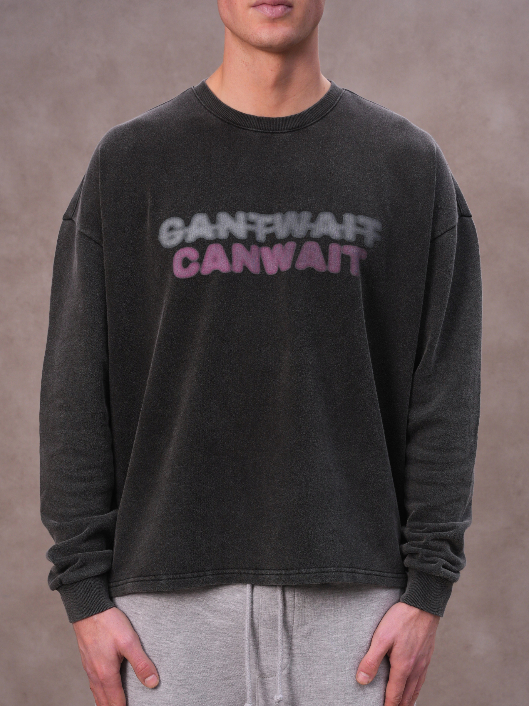 The Washed Wait Longsleeve Pink