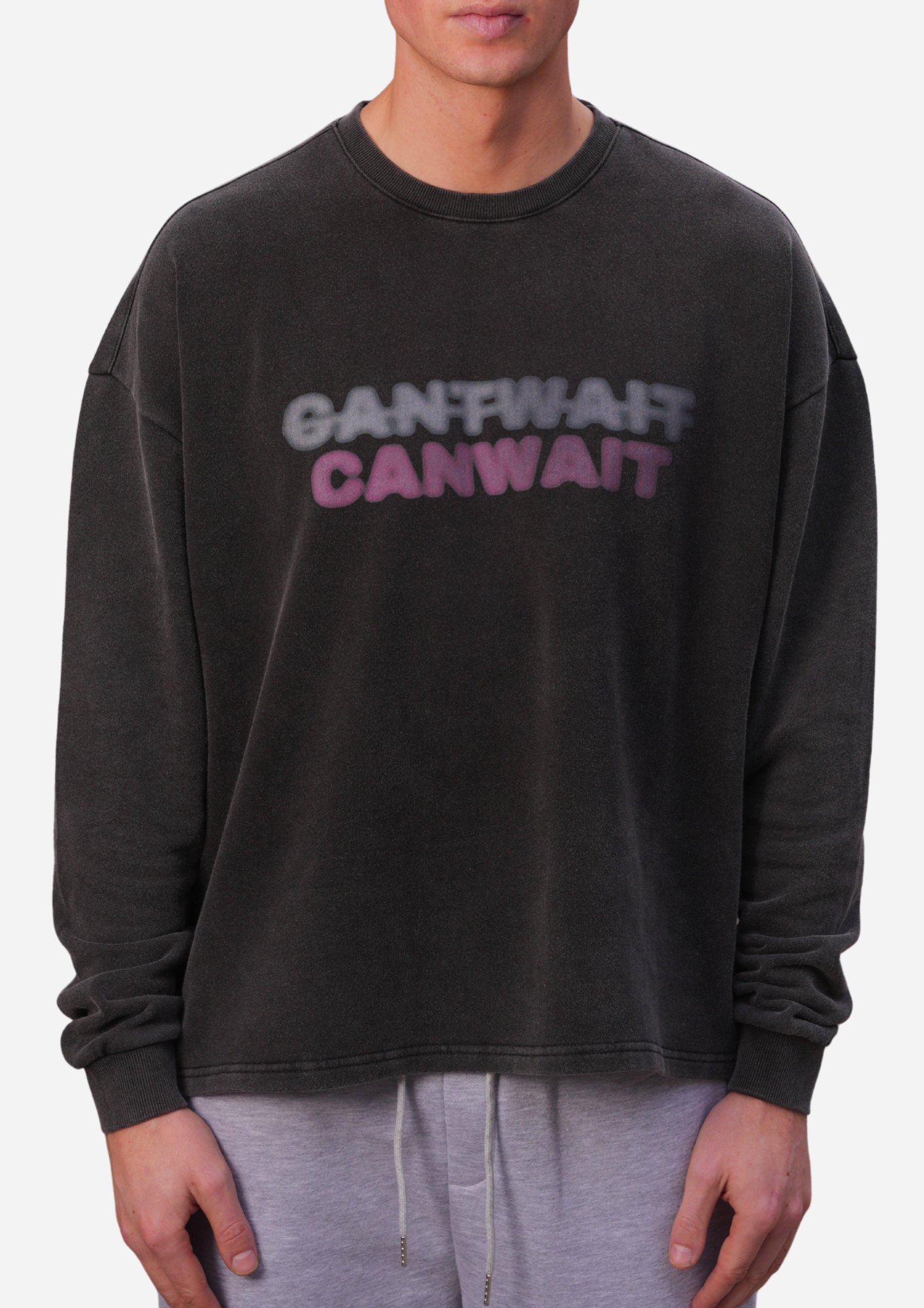 The Washed Wait Longsleeve Pink